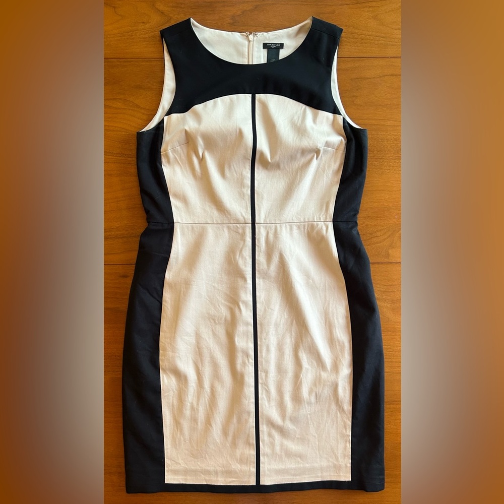 Ann Taylor 10P Khaki and Black Dress